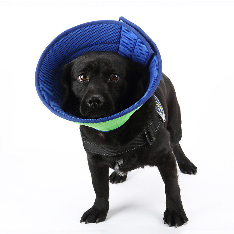 Dog and  Cat Anti-bite Collar Pet Medical Recovery