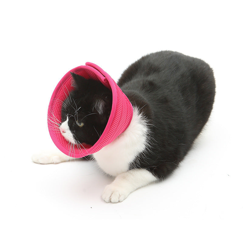 Dog and  Cat Anti-bite Collar Pet Medical Recovery